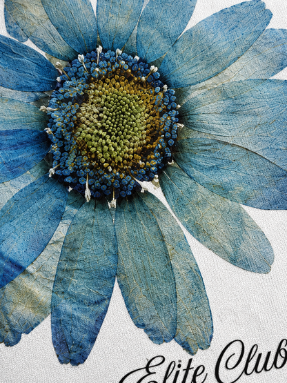 Gerbera Tee